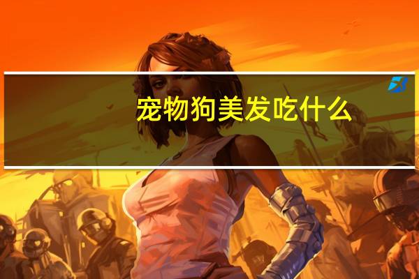 宠物狗美发吃什么