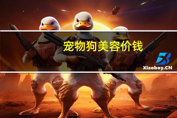宠物狗美容价钱