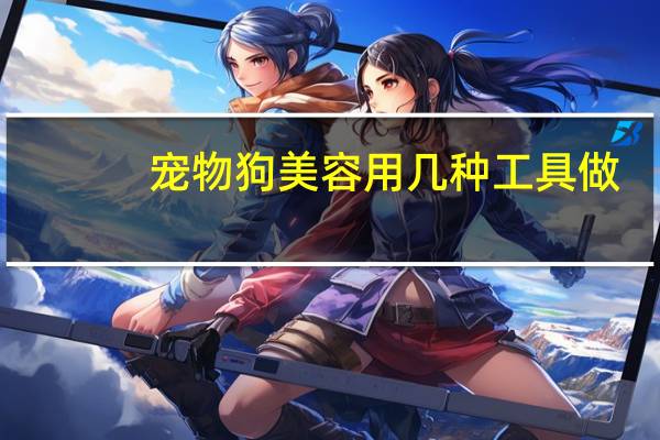 宠物狗美容用几种工具做