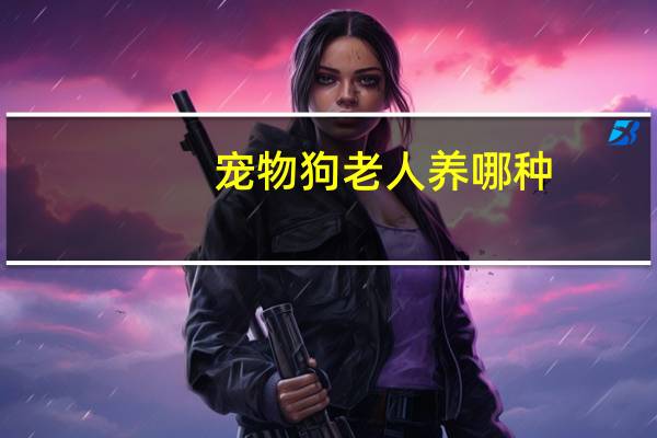 宠物狗老人养哪种