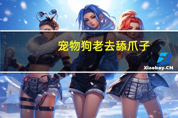 宠物狗老去舔爪子