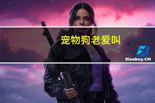 宠物狗老爱叫