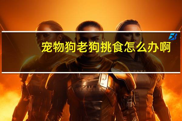 宠物狗老狗挑食怎么办啊
