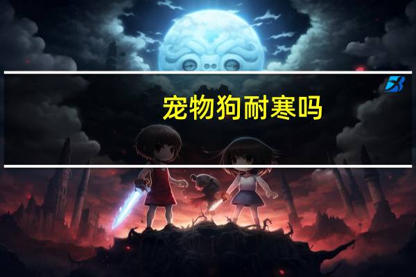 宠物狗耐寒吗