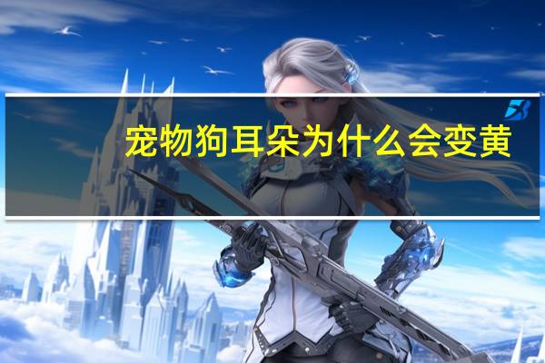 宠物狗耳朵为什么会变黄