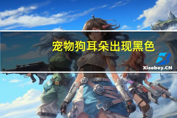 宠物狗耳朵出现黑色