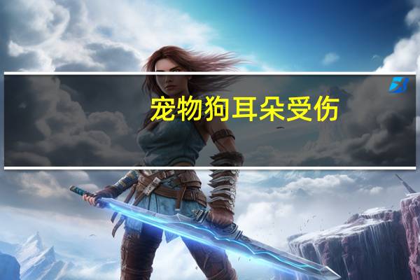 宠物狗耳朵受伤