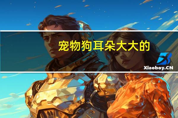 宠物狗耳朵大大的
