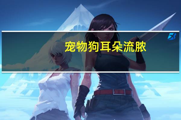 宠物狗耳朵流脓