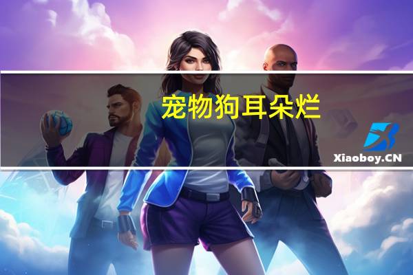 宠物狗耳朵烂