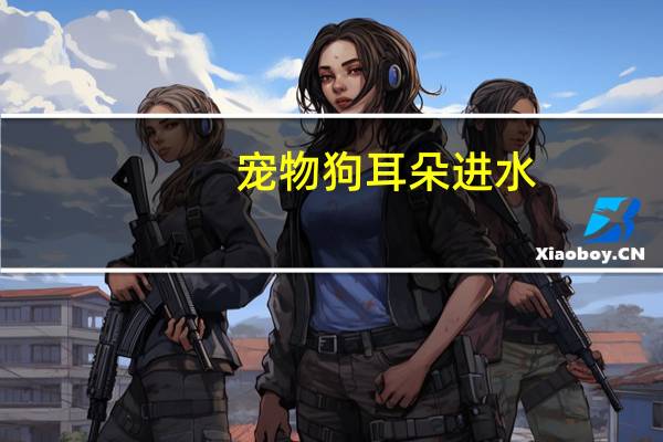 宠物狗耳朵进水