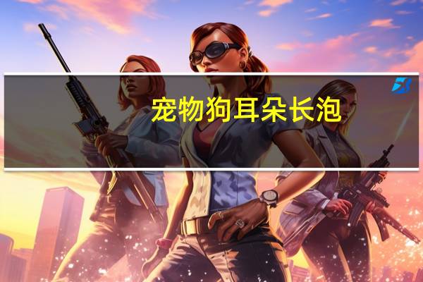 宠物狗耳朵长泡