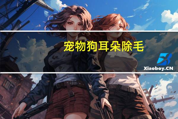 宠物狗耳朵除毛