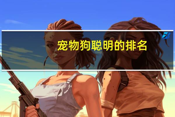 宠物狗聪明的排名
