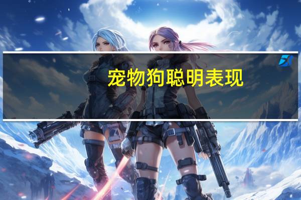 宠物狗聪明表现