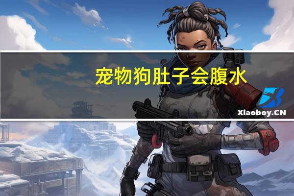 宠物狗肚子会腹水