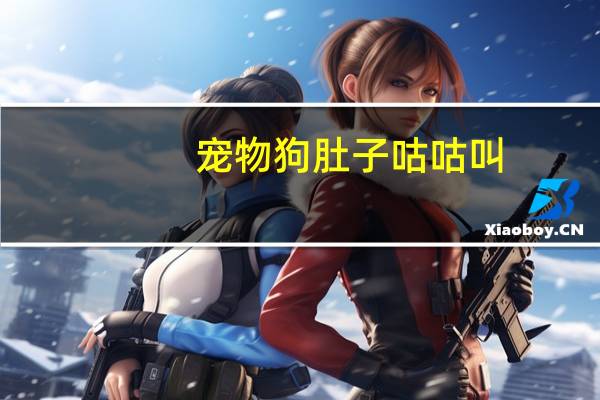 宠物狗肚子咕咕叫