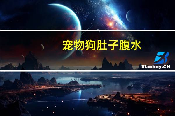 宠物狗肚子腹水