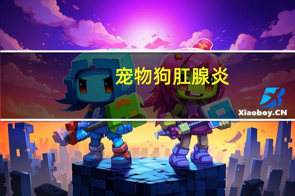 宠物狗肛腺炎