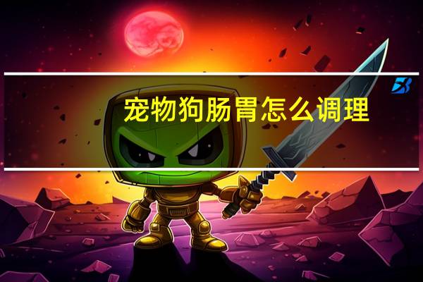 宠物狗肠胃怎么调理