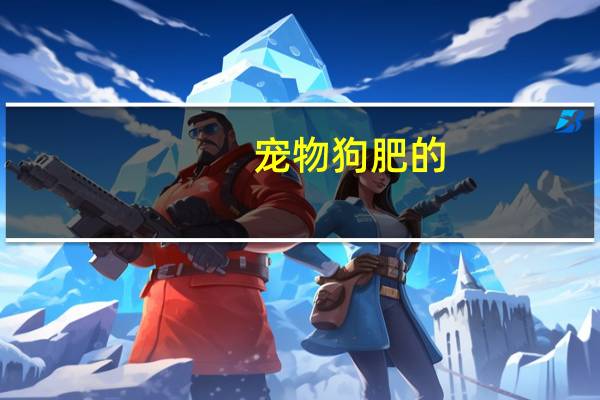宠物狗肥的