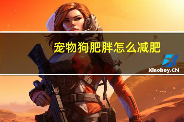 宠物狗肥胖怎么减肥