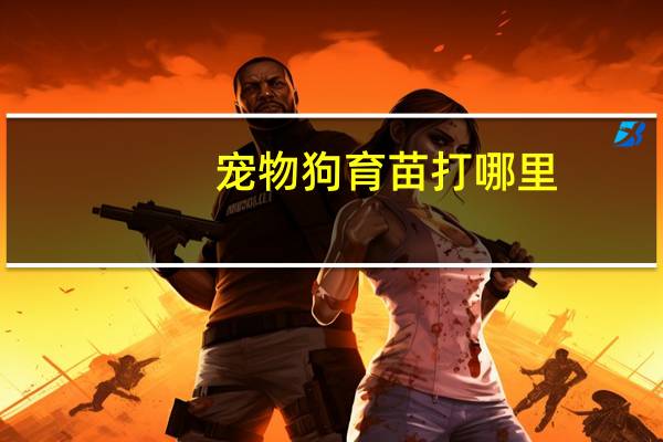 宠物狗育苗打哪里