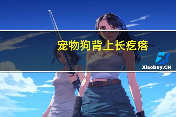 宠物狗背上长疙瘩