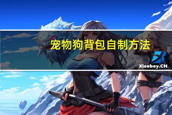 宠物狗背包自制方法