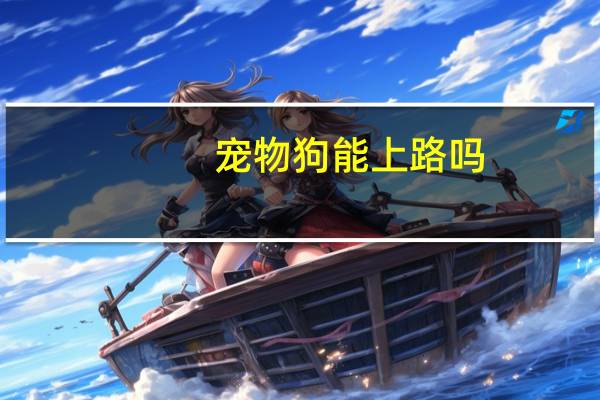 宠物狗能上路吗