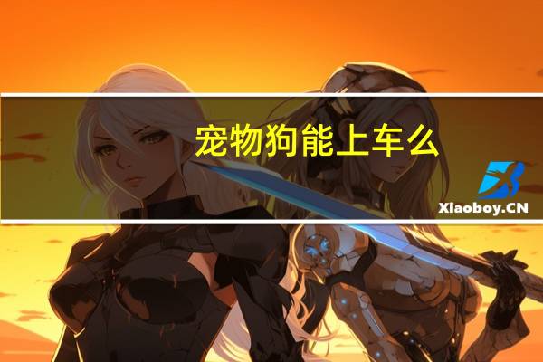 宠物狗能上车么