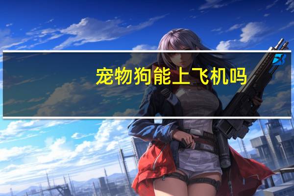 宠物狗能上飞机吗