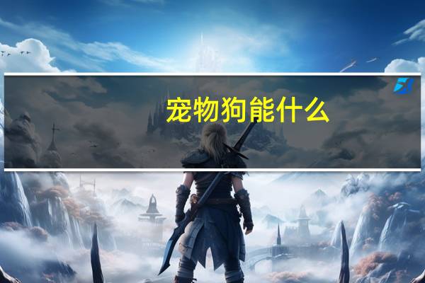 宠物狗能什么
