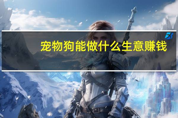 宠物狗能做什么生意赚钱