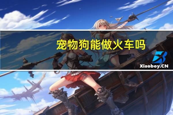 宠物狗能做火车吗