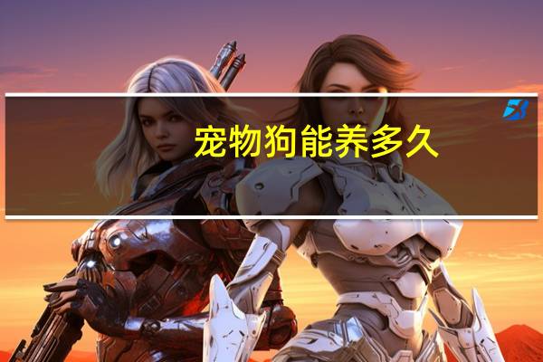 宠物狗能养多久