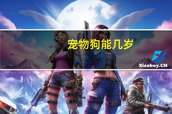 宠物狗能几岁