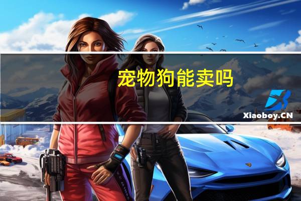 宠物狗能卖吗