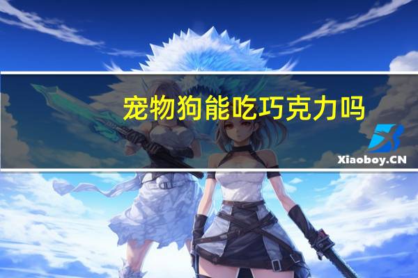 宠物狗能吃巧克力吗