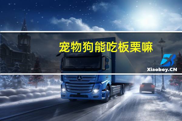 宠物狗能吃板栗嘛
