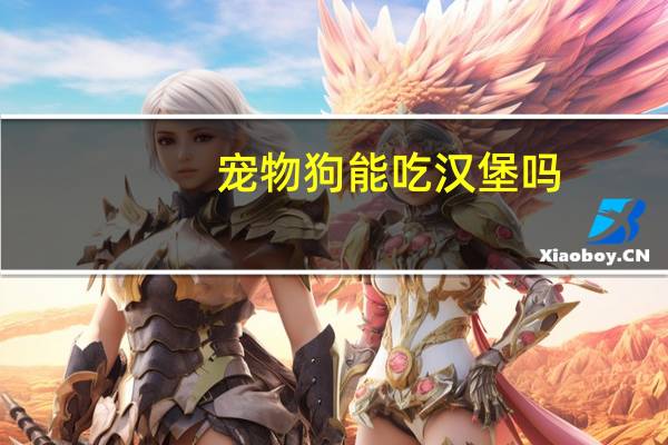 宠物狗能吃汉堡吗