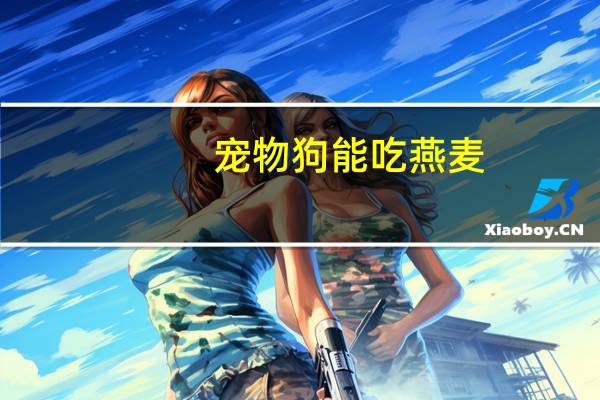 宠物狗能吃燕麦