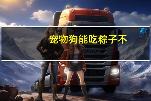 宠物狗能吃粽子不