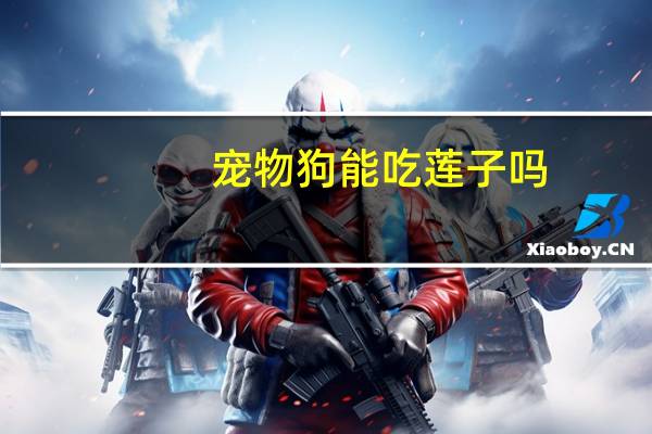 宠物狗能吃莲子吗