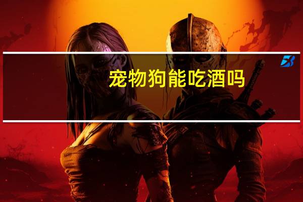 宠物狗能吃酒吗