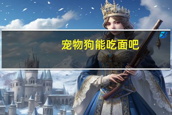 宠物狗能吃面吧