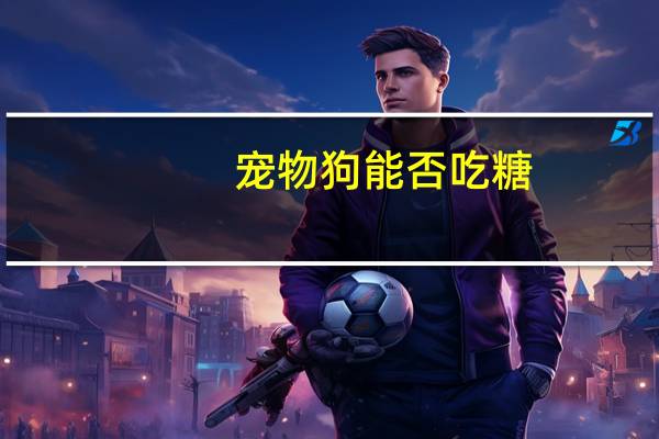 宠物狗能否吃糖