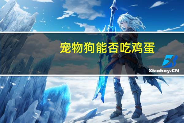 宠物狗能否吃鸡蛋