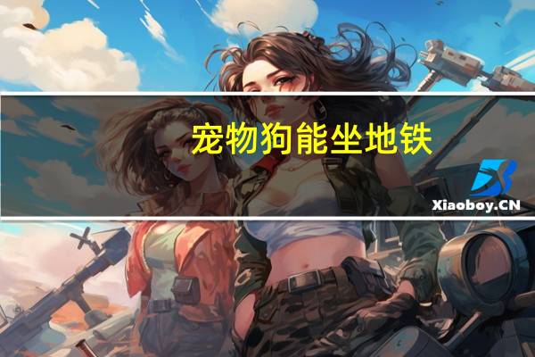 宠物狗能坐地铁