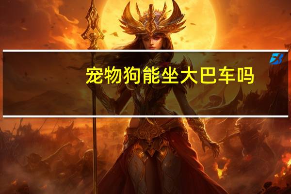 宠物狗能坐大巴车吗